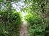 dscn3387