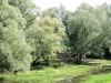 dscn4081